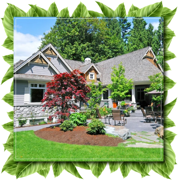 Welcome to <span class="t-color2"> Pete Landscaping & Tree Service</span>