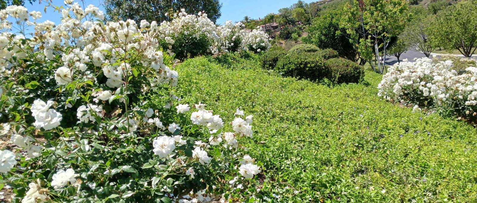 The Experts In Valley Center, California 